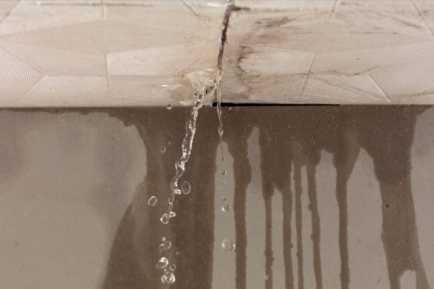 Professional Water Damage Restoration technician working in Fox River Grove, IL